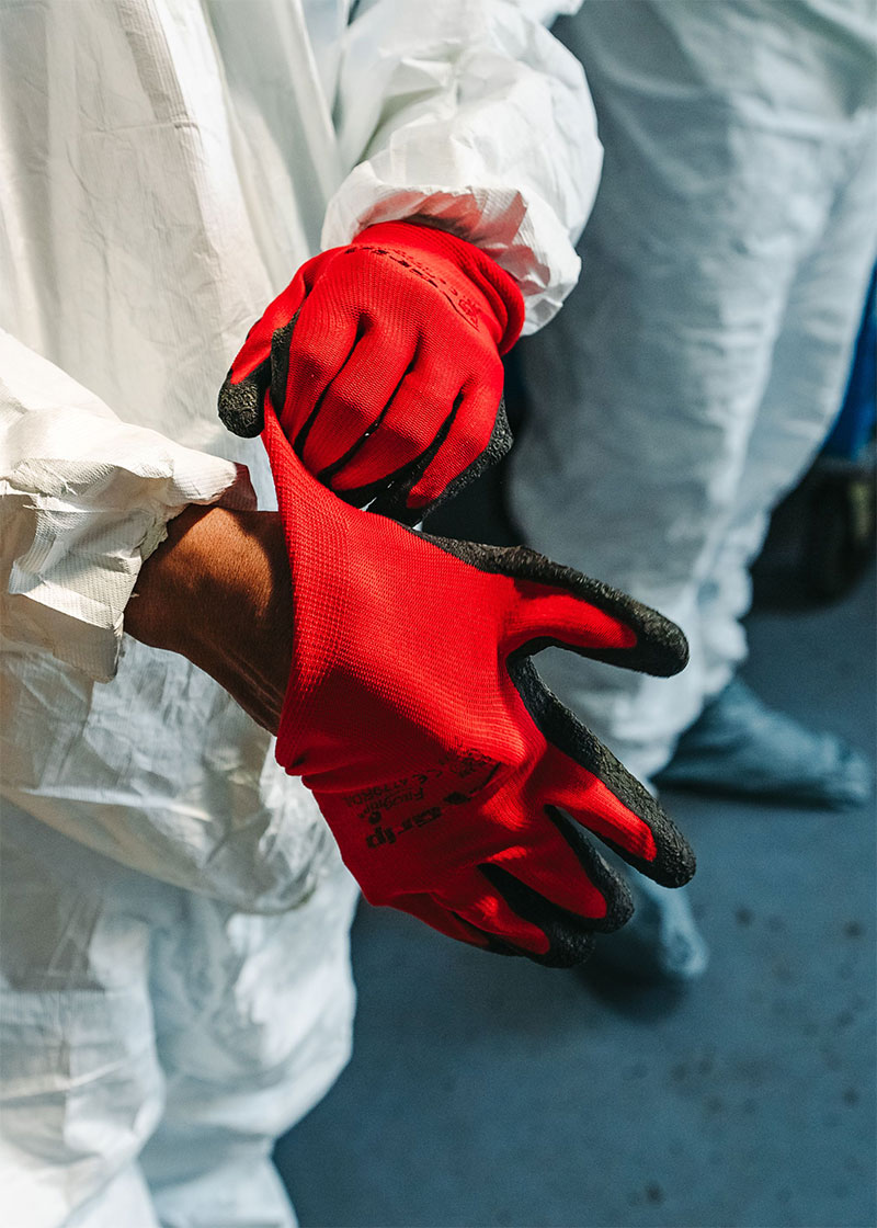 red-gloves red-gloves